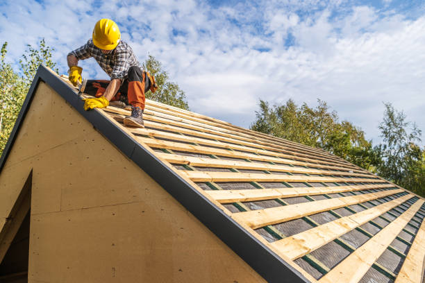 Best Metal Roofing Contractor  in Olney, IL
