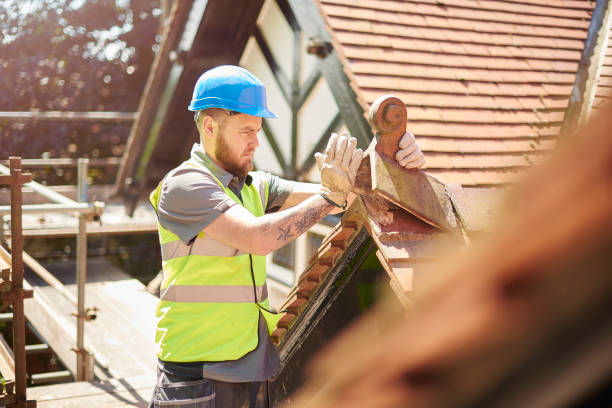 Best Storm Damage Roof Repair  in Olney, IL
