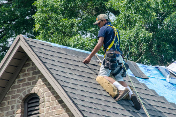 Best Roof Restoration Services  in Olney, IL